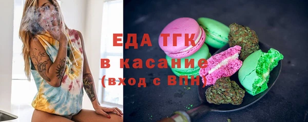 дурь Няндома