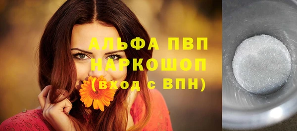 дурь Няндома