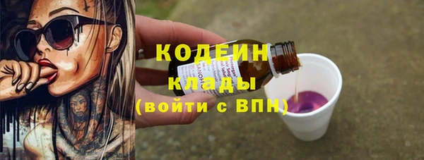 индика Нефтегорск