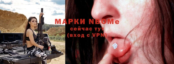 индика Нефтегорск